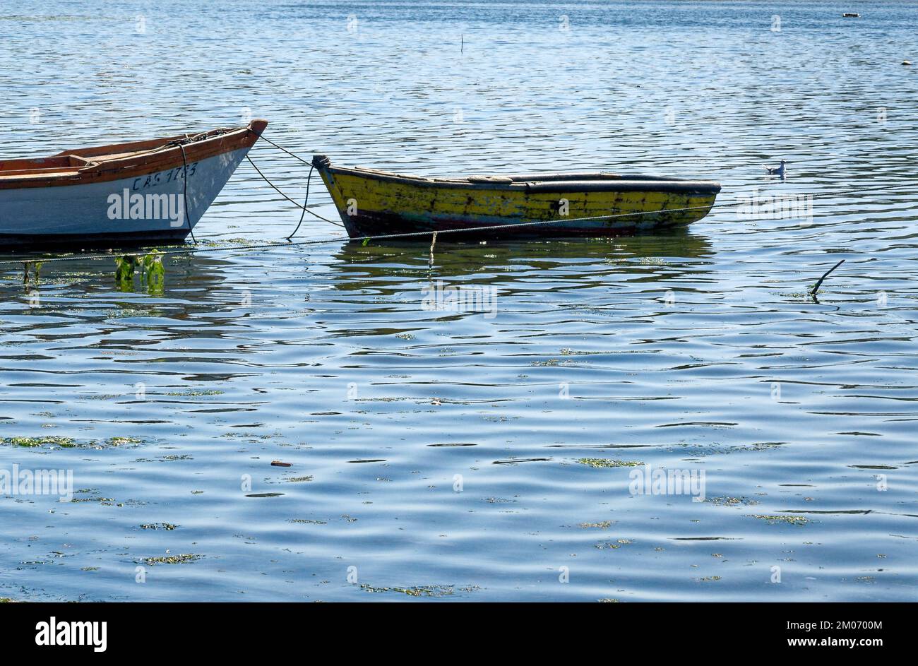 Barche da pesca a Golfo de Ancud - Castro Bay, Isola di Chilo nel Distretto dei Laghi del Cile. 16th febbraio 2014 - Castro, Cile, Sud America Foto Stock