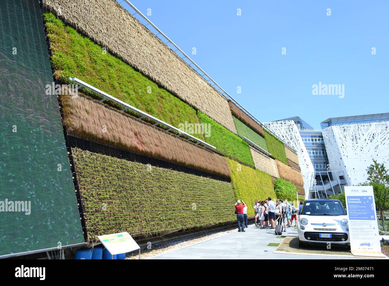 Vista panoramica del campo agricolo verticale del Padiglione Israeliano all'EXPO Milano 2015, rappresenta l'idea della tecnologia della piantagione verticale. Foto Stock