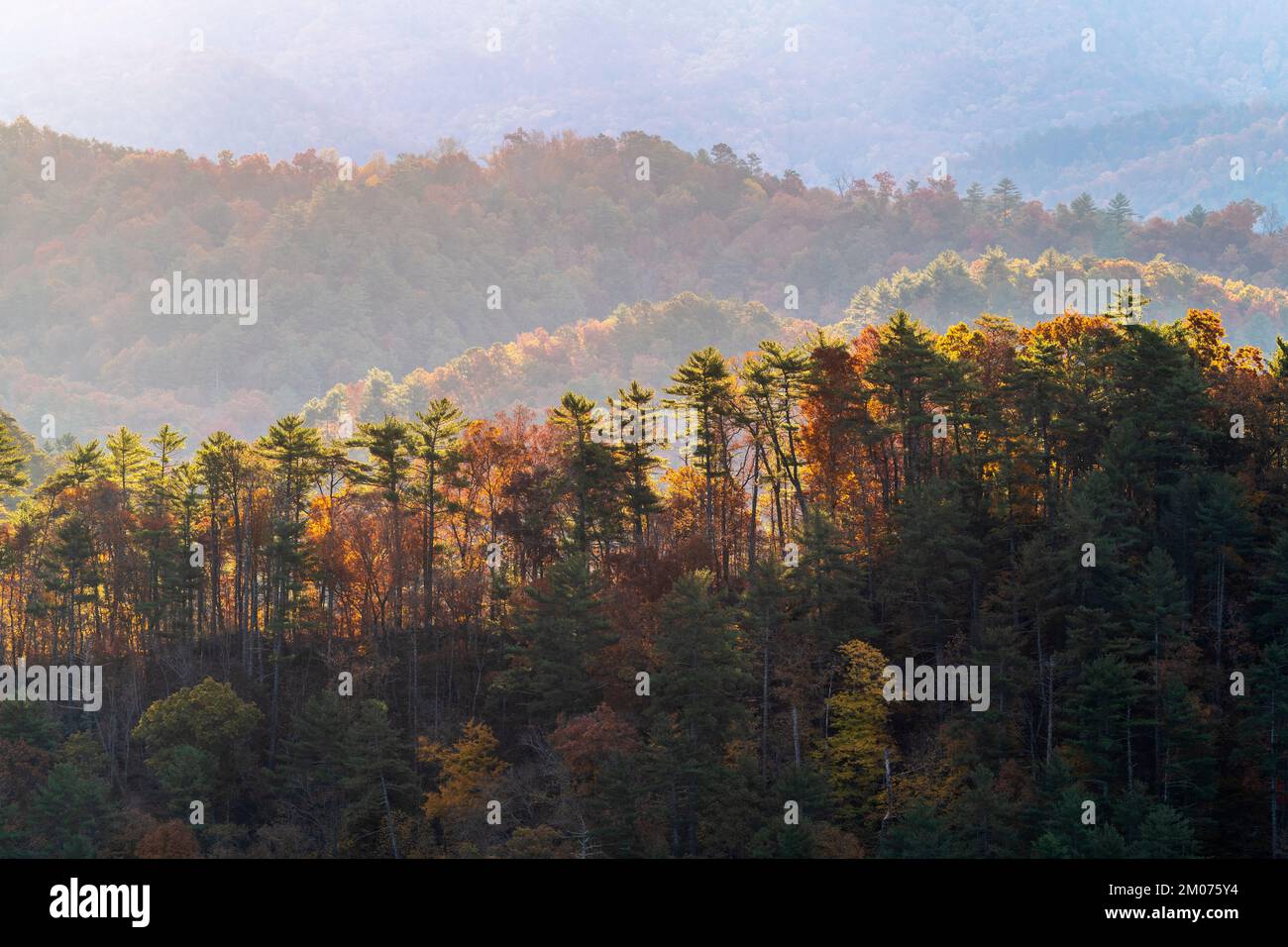 Alba nebulosa, Foothills Parkway. Great Smoky Mountains National Park, TN, USA, fine ottobre, di Dominique Braud/Dembinsky Photo Assoc Foto Stock