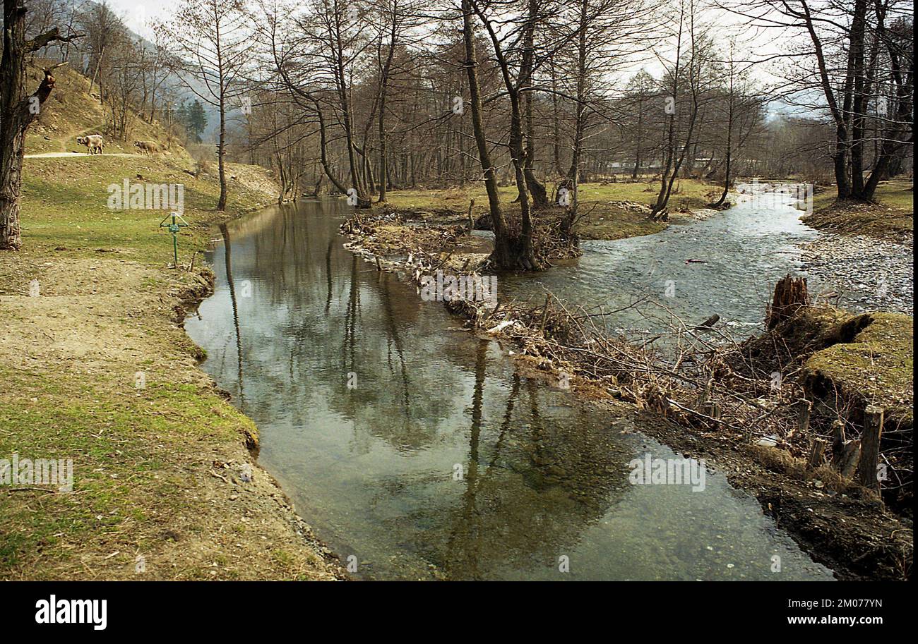 Fiume Doftana nella contea di Prahova, Romania, circa 2000 km Foto Stock