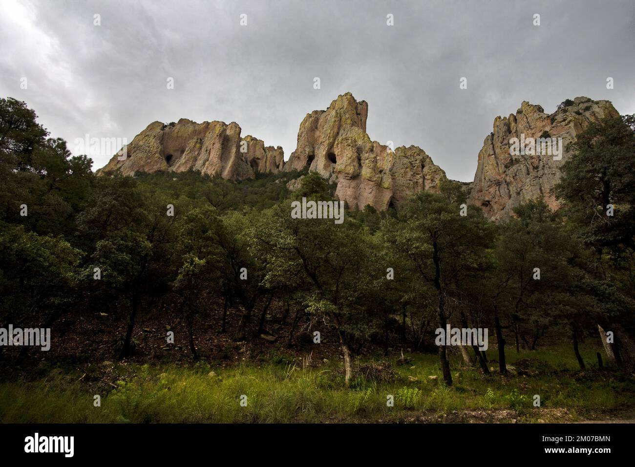 L'affascinante e aspro paesaggio delle Montagne Chiricahua è un'attrazione ricreativa nell'Arizona meridionale, negli Stati Uniti Foto Stock