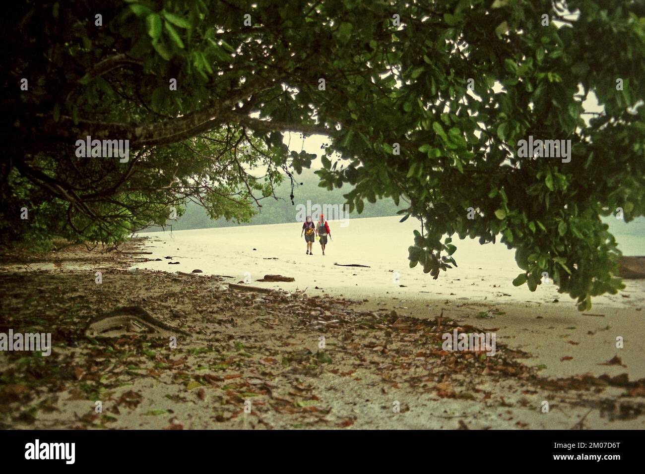 Banten, Indonesia. 5th dicembre 2022. Una donna visitatrice sta avendo una conversazione con una guida mentre stanno camminando su una spiaggia sabbiosa sull'isola di Peucang durante un viaggio ecoturismo 2003 nel Parco Nazionale di Ujung Kulon, Pandeglang, Banten, Indonesia. Il rapporto economico 2022 dell'APEC (Asia-Pacific Economic Cooperation), pubblicato durante la riunione ministeriale annuale dell'APEC e la riunione dei leader economici svoltasi a Bangkok il mese scorso (novembre 2022), ha dichiarato che i membri dell'APEC stanno affrontando le sfide della sostenibilità e che è urgente intraprendere riforme strutturali verdi. Foto Stock