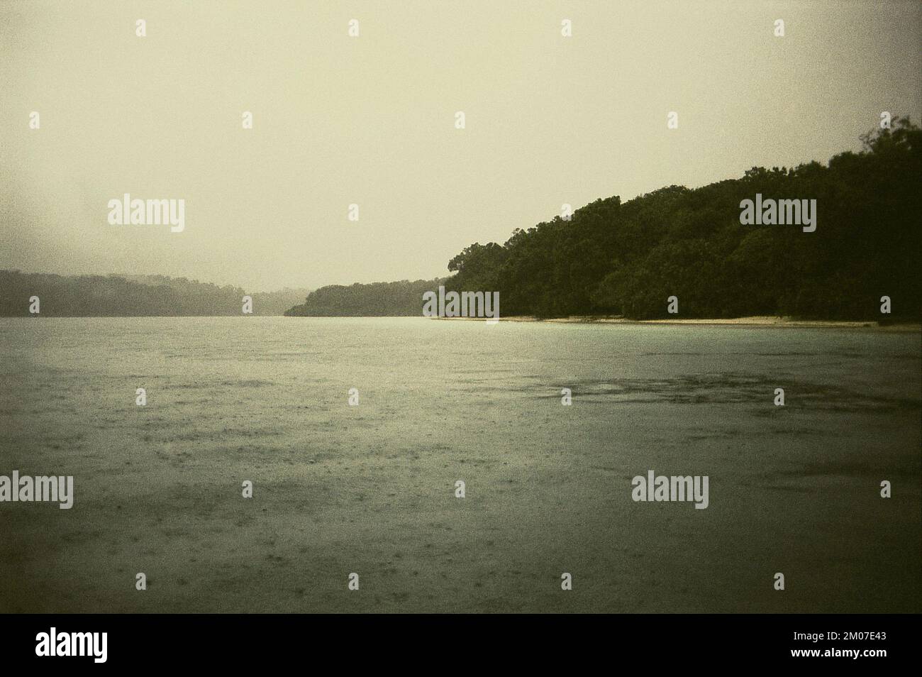 Paesaggio costiero della penisola del Parco Nazionale di Ujung Kulon in una giornata piovosa, mostrando una spiaggia sabbiosa in uno sfondo di foresta protetta vicino Cidaon, un paesaggio di pascolo per la fauna selvatica, che è amministrativamente situato a Pandeglang, Banten, Indonesia. Foto Stock