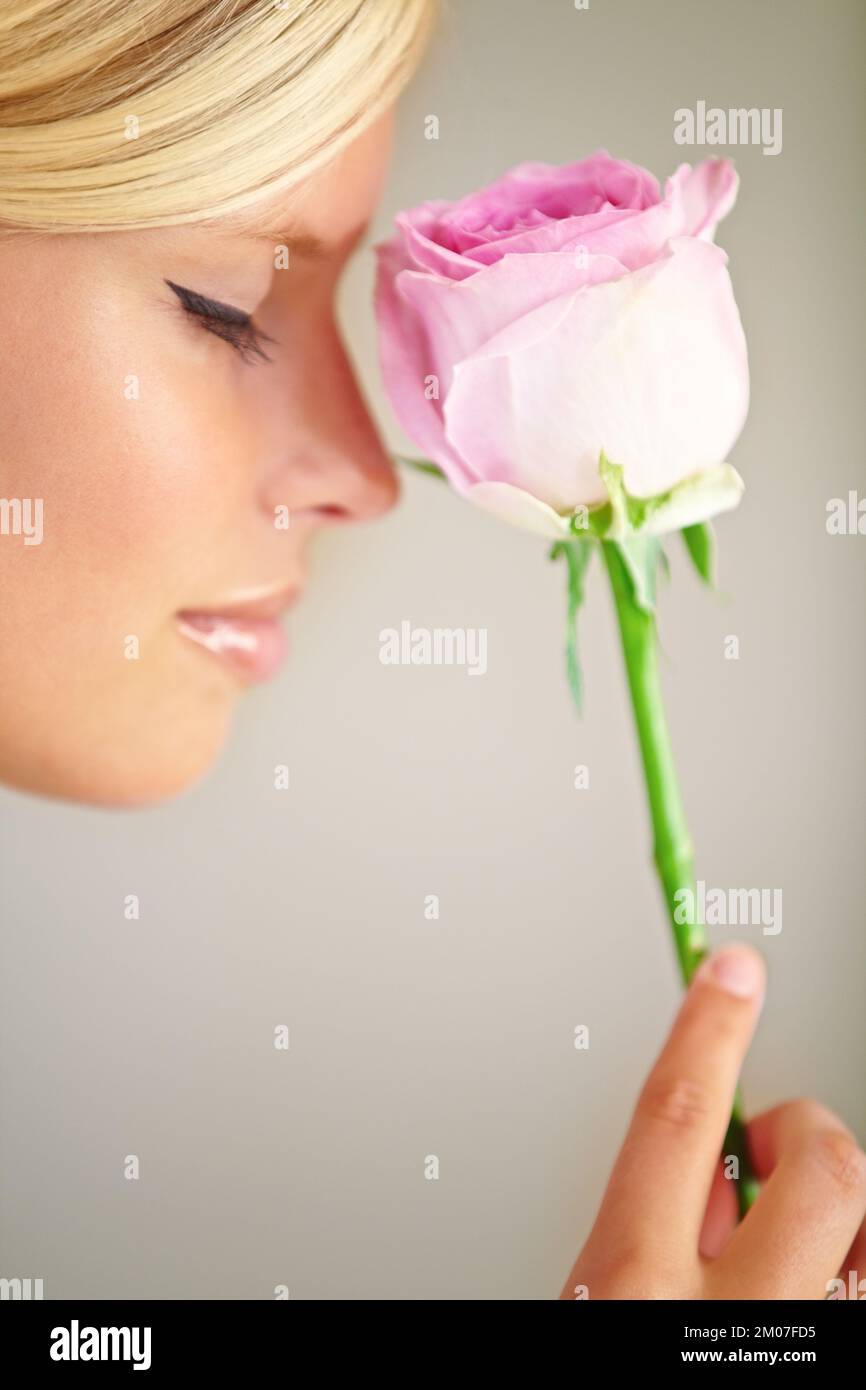 La bellezza e la rosa. Profilo di una giovane donna che tiene una rosa contro il naso. Foto Stock