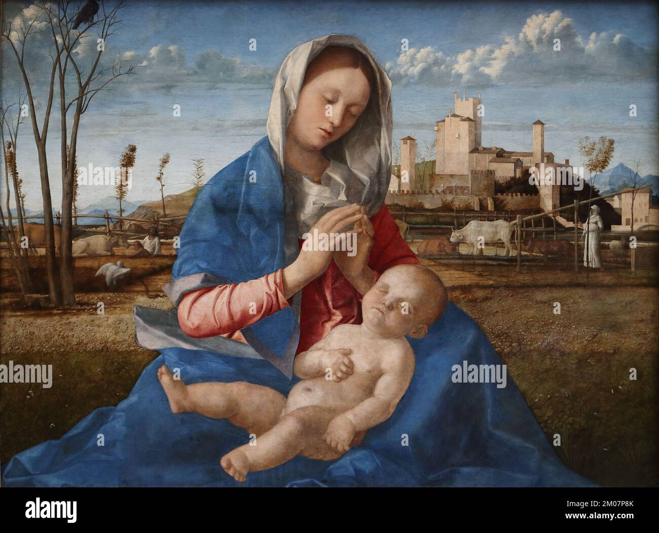 Madonna del Prato del pittore rinascimentale italiano Giovanni Bellini alla National Gallery di Londra, Regno Unito Foto Stock