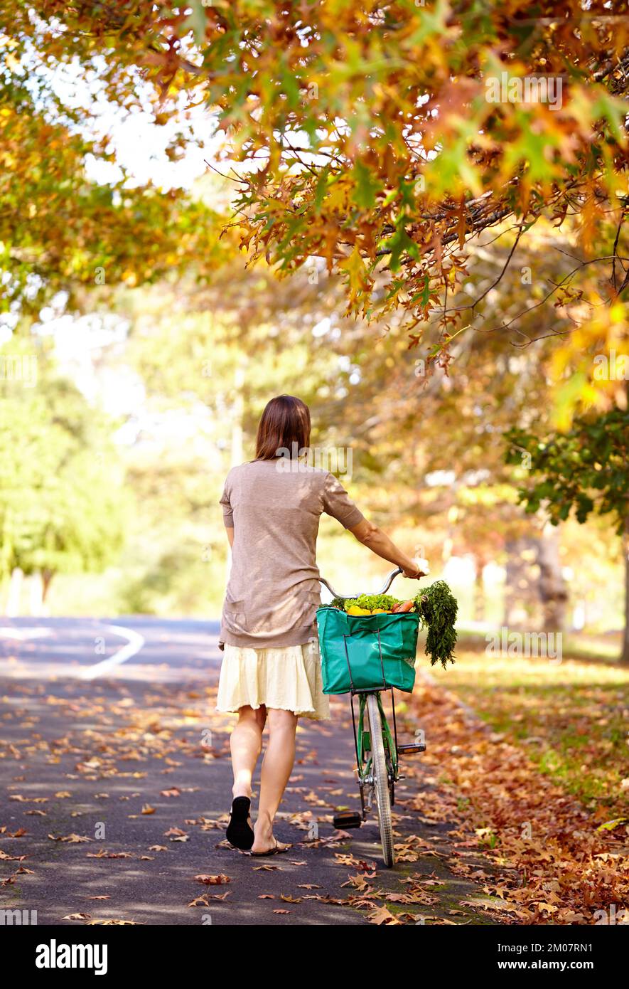 Ha scelto il giorno perfetto per portare la sua moto al negozio. Ripresa da dietro di una giovane donna che cammina a casa dal negozio di alimentari con la sua bicicletta. Foto Stock
