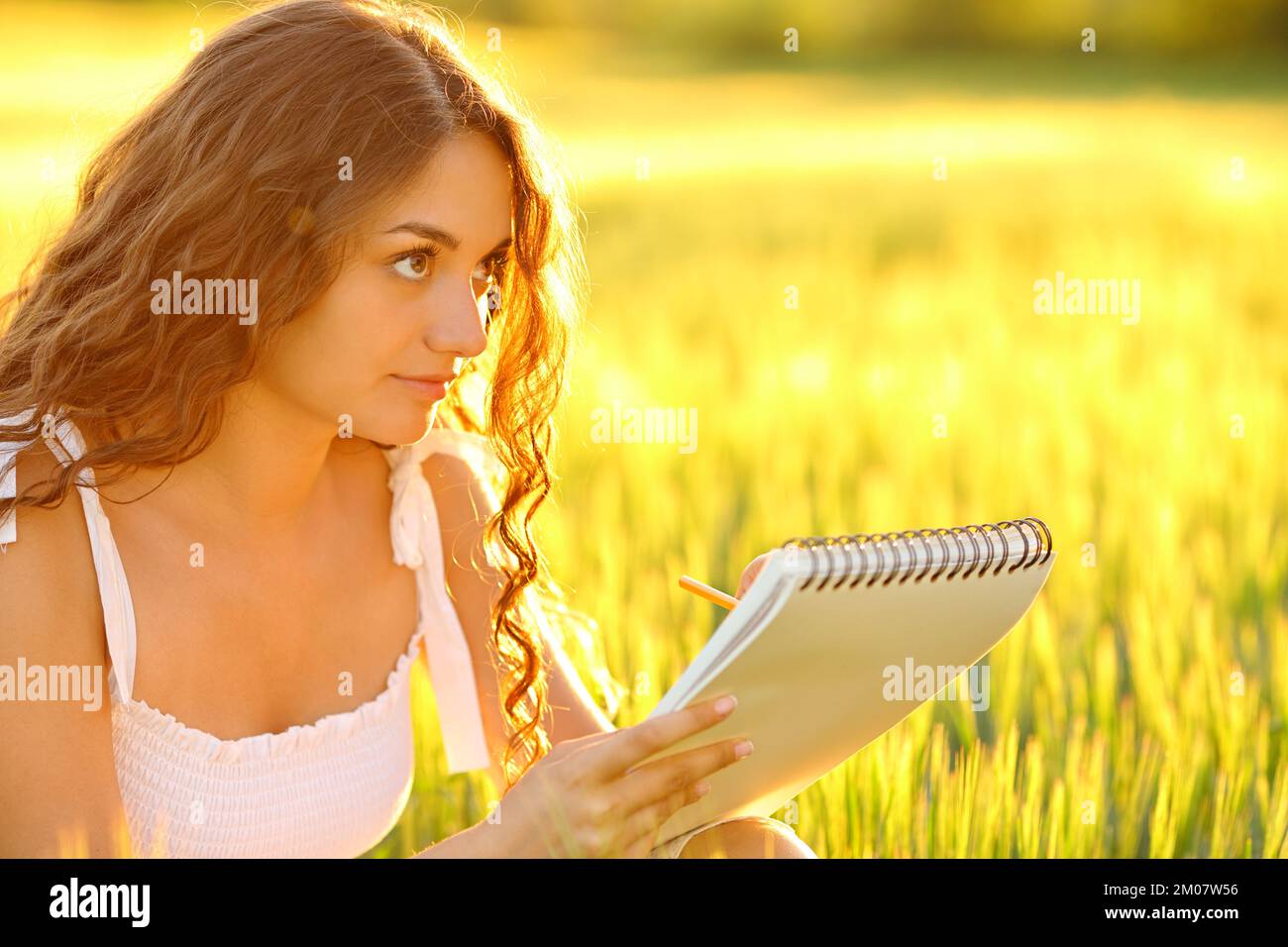 Donna che disegna su un notebook in un campo al tramonto Foto Stock