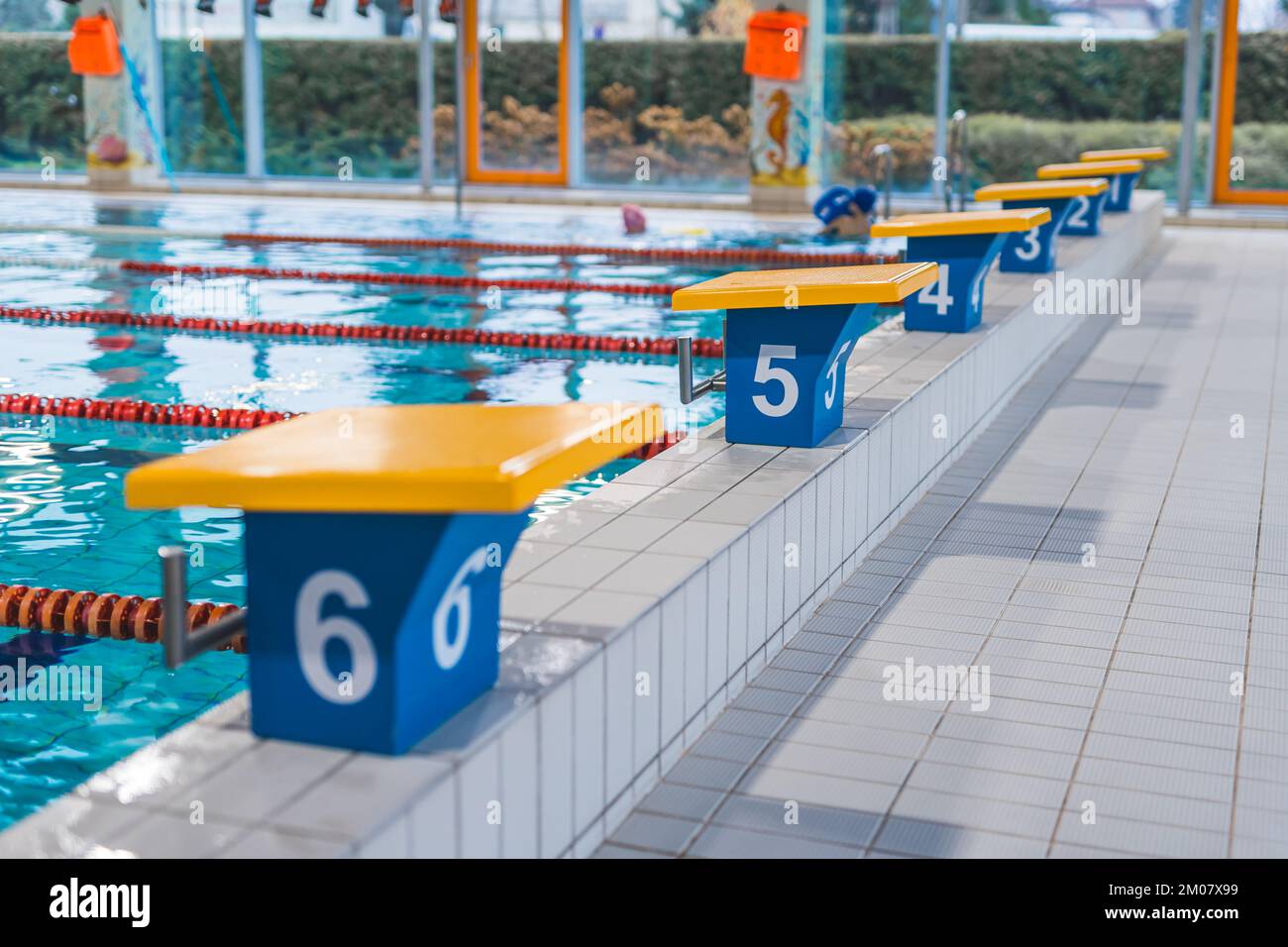 Interno della piscina sportiva professionale. Blocchi di base per nuoto gialli e blu scuro numerati. Attività salutari per tutti. Foto di alta qualità Foto Stock