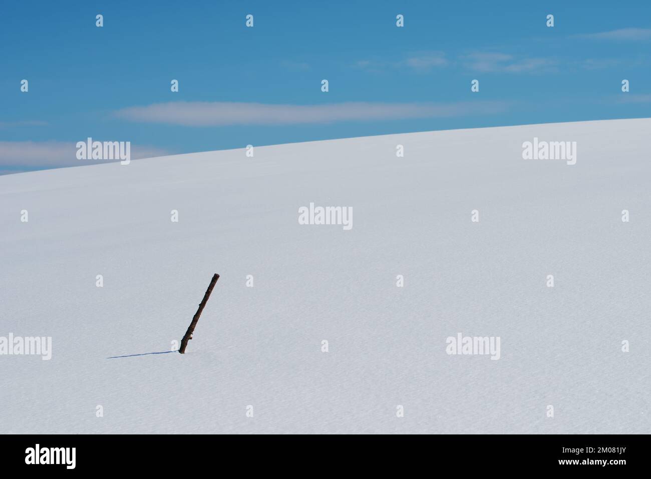 Bastone di legno nella neve bianca fredda che copre la collina a Zlatibor paesaggio montano in inverno Foto Stock