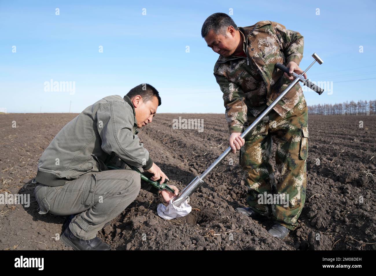 Harbin. 20th Ott 2022. I membri del personale della Zhaoguang Farm Co. Ltd. Sotto la filiale di Beidahuang Group bei'an, prelevare campioni di terreno per l'analisi nella provincia di Heilongjiang, nel nord-est della Cina, 20 ottobre 2022. Il 5 dicembre si celebra la Giornata Mondiale del suolo, una giornata designata dalle Nazioni Unite per sottolineare l'importanza di terreni sani e per promuovere una gestione sostenibile delle risorse del suolo. Credit: Wang Jianwei/Xinhua/Alamy Live News Foto Stock