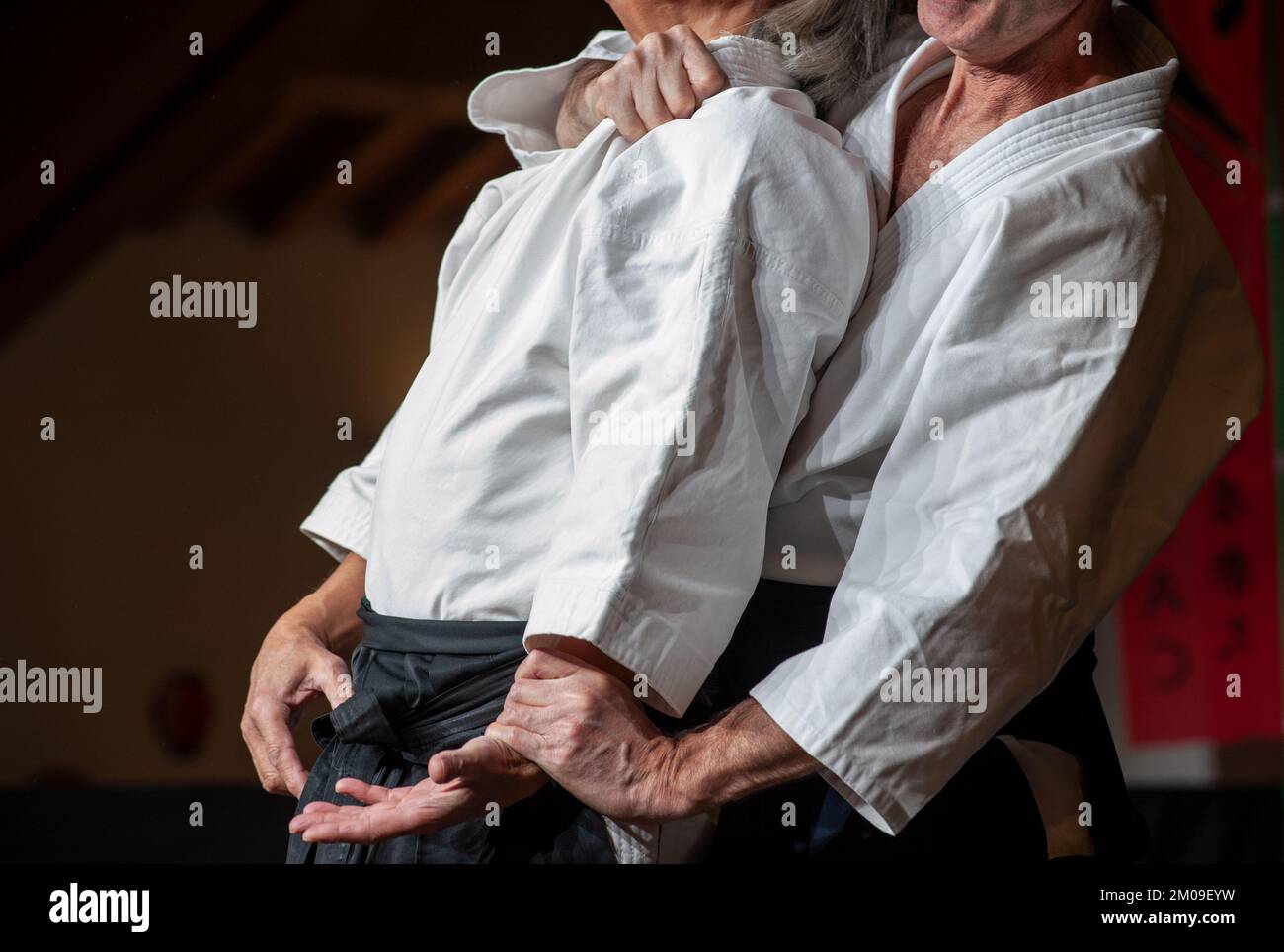 Afferrare la gola, da dietro. Maestri di aikido con cintura nera durante una sessione di allenamento. Foto Stock