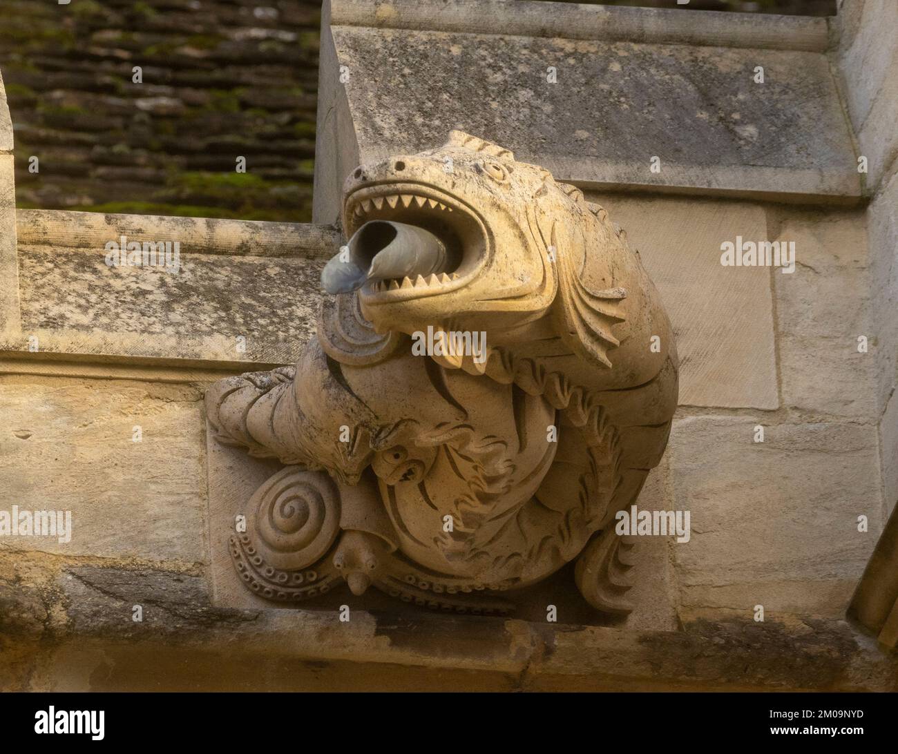 Gargoyles cattedrale di Gloucester preso il 04/12/2022 Foto Stock