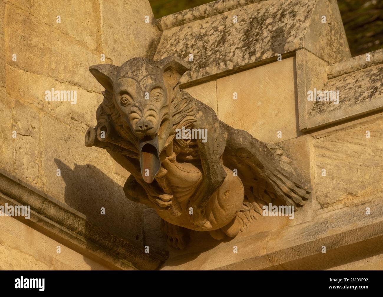 Gargoyles cattedrale di Gloucester preso il 04/12/2022 Foto Stock