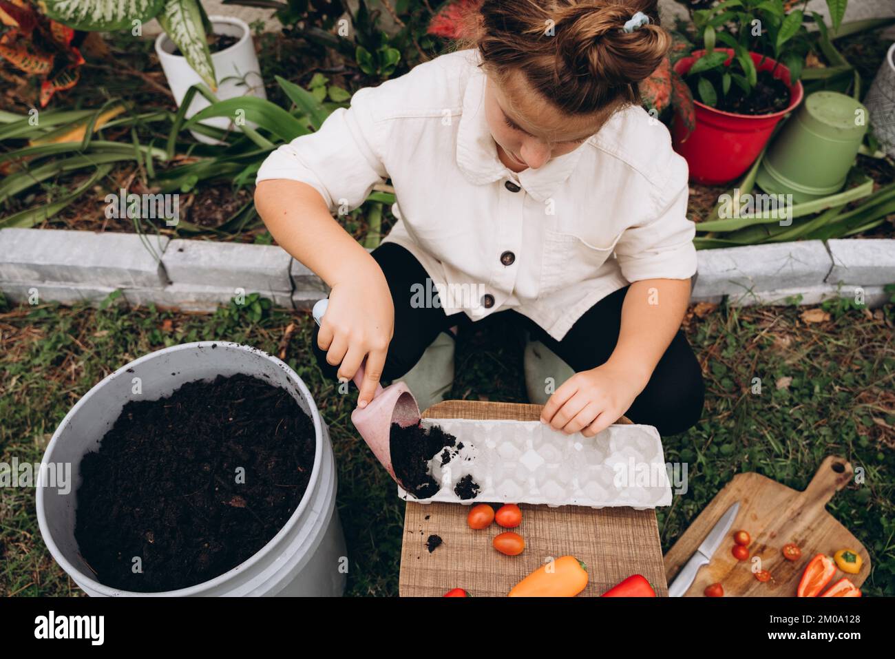 Mano della ragazza che pianta i semi nel suolo in contenitore di cartone Foto Stock