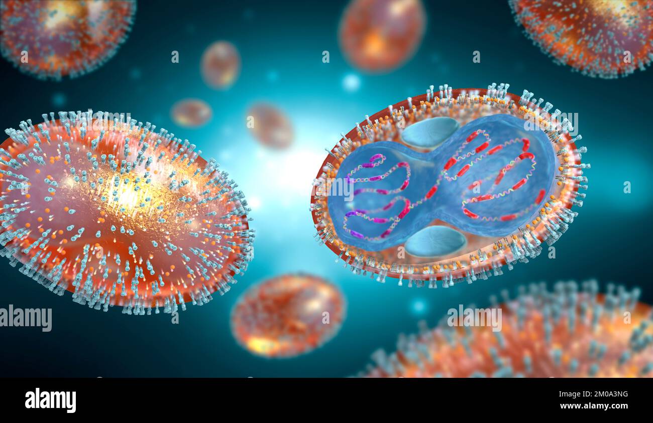 Sezione trasversale di un agente patogeno del vaiolo con membrana cellulare, nucleocapside, parete cellulare e glicoproteine - illustrazione 3D Foto Stock