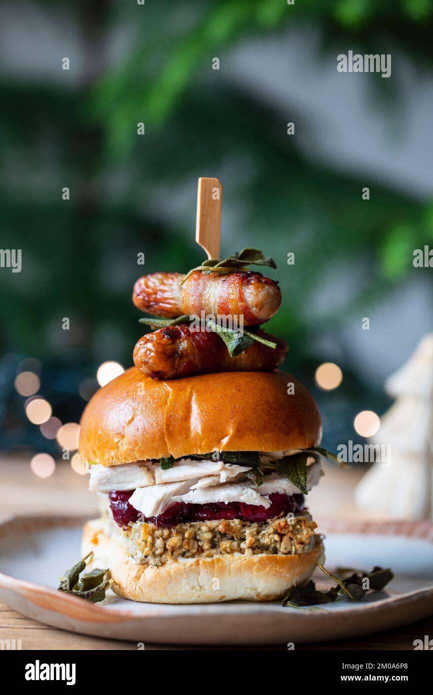 Brioche natalizia con tacchino, ripieno, salsa di mirtilli rossi e maiali in coperte Foto Stock