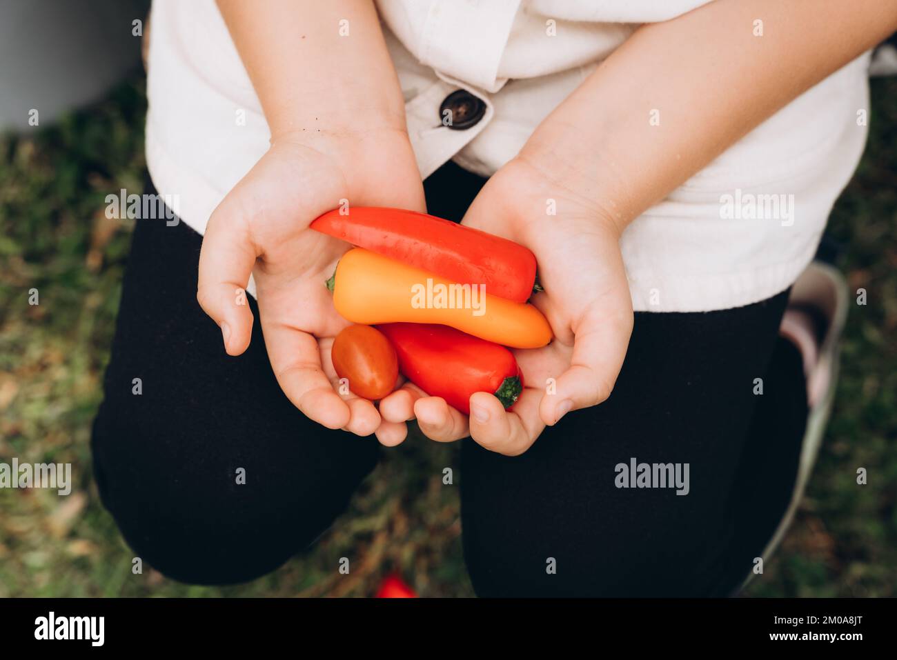 Le mani della ragazza che tengono una verdura vicino. Foto Stock