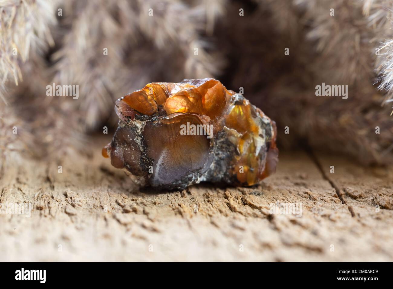 Fuoco grezzo naturale Agata pietra preziosa gemma su sfondo di legno Foto Stock