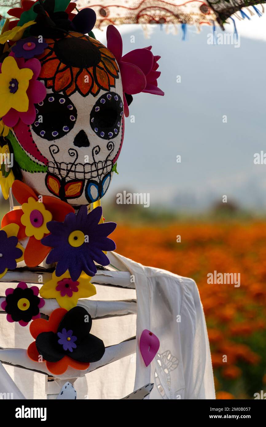 ritratto verticale di giovane donna latina all'aperto che tiene un fiore Foto Stock