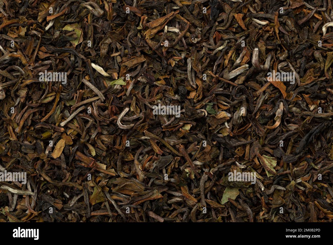 Tasty Rungmook Darjeeling tè secco foglie di tè chiudere la cornice completa come sfondo Foto Stock