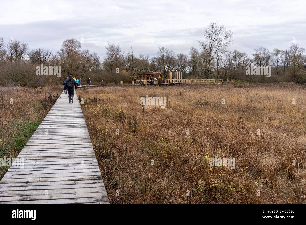 Accatastamento delle abitazioni a mucchio nelle paludi di Lubiana. Foto Stock