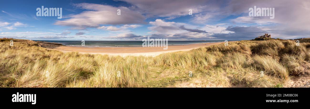 Bamburgh spiaggia e castello sulla costa orientale di Northumberland, Inghilterra Foto Stock