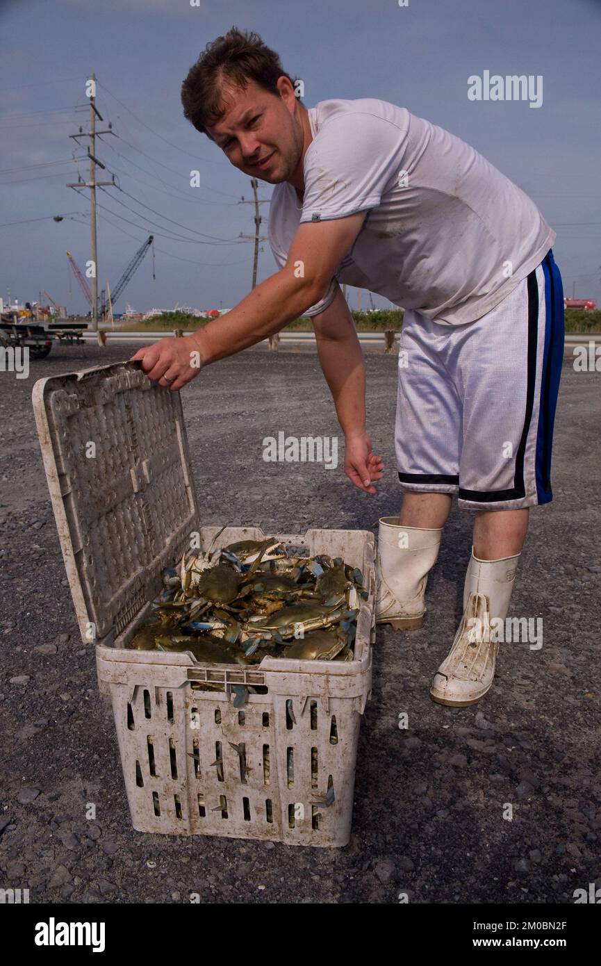 Ufficio dell'Amministratore (Lisa P. Jackson) - varie immagini (BP Oil Spill) - Salinità, temperatura, test di pH. Curtis Franklin, Dougherty Srague Environmental Inc Fornitore EPA. Foto USEPA di Eric Vance , Environmental Protection Agency Foto Stock