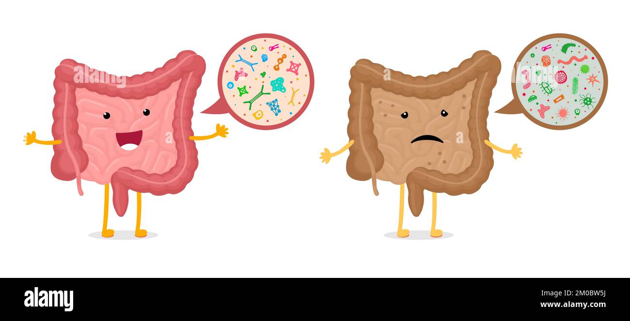 Confronto dell'ingrandimento dei batteri microscopici dell'intestino. Mascotte dell'intestino umano microbioma sano e malsano. Intestino cattivo e buon microfl Illustrazione Vettoriale