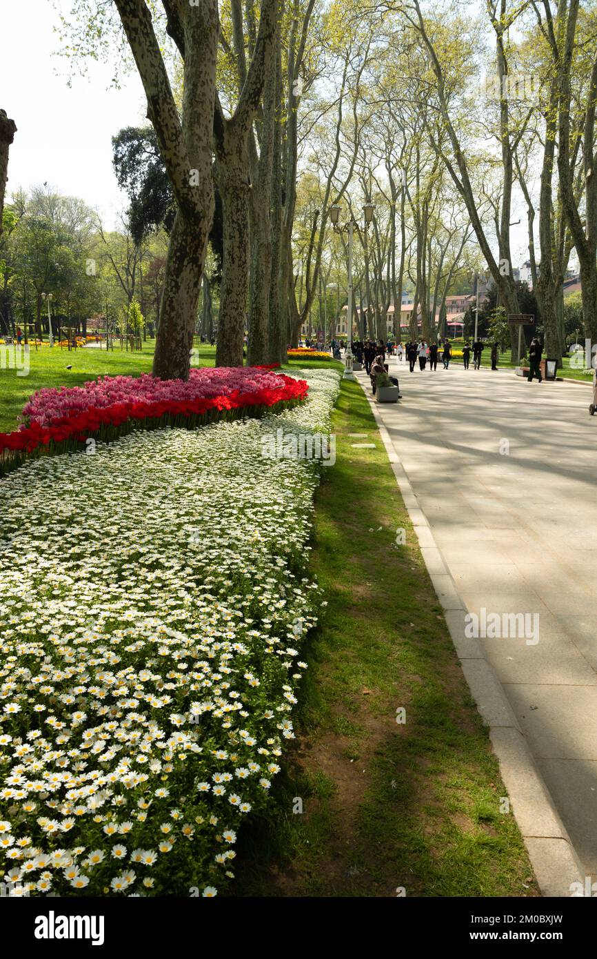 Gulhane Park in primavera. Festival dei tulipani a Istanbul. Istanbul Turkiye - 4.25.2022 Foto Stock