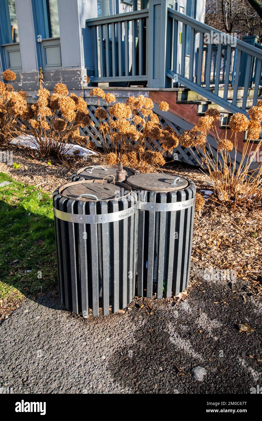 Pattumiera alla Casa Smith nel Parc du Mont-Royal a Montreal, Quebec, Canada Foto Stock