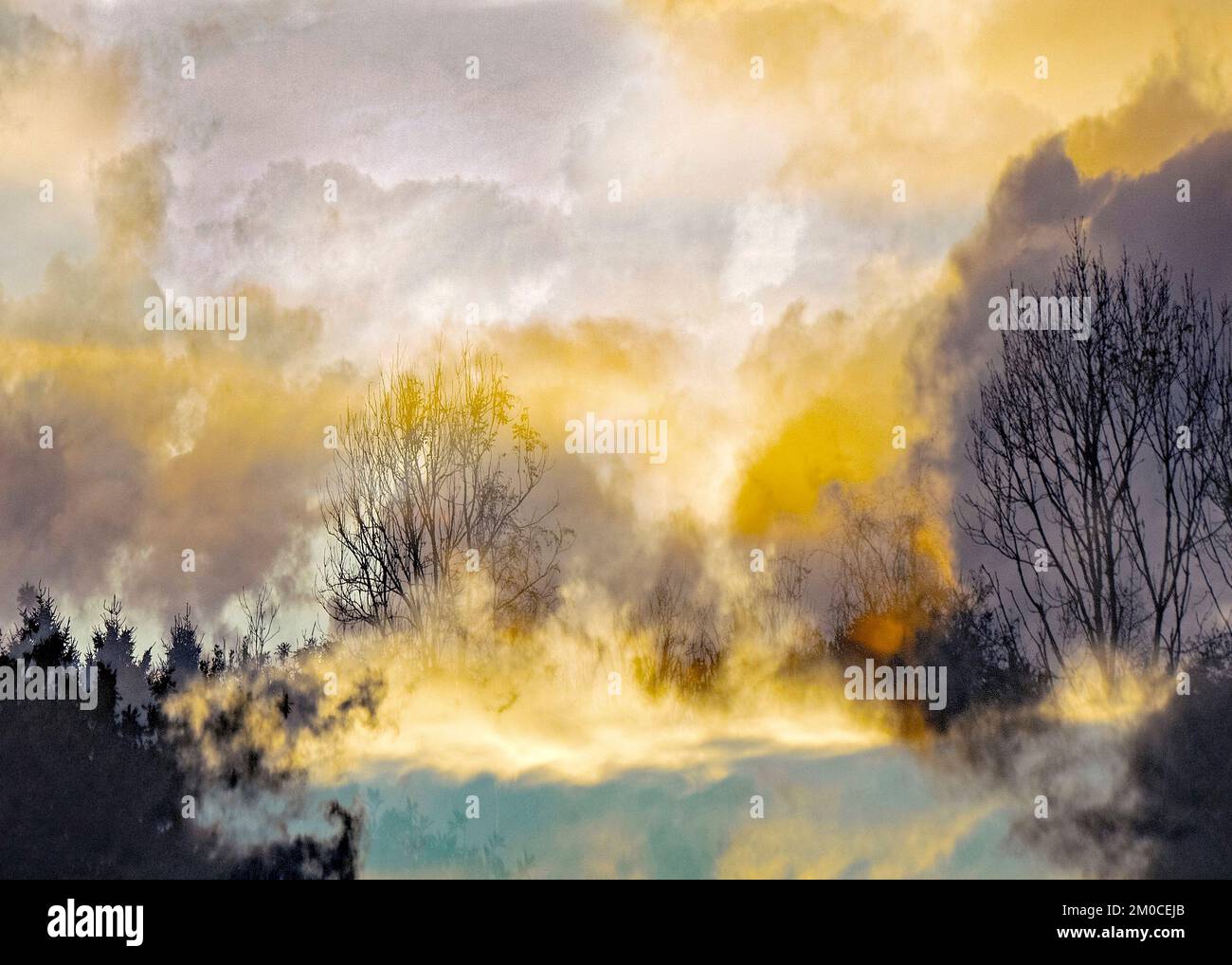 Fotografia a colori semi astratta e impressionistica di paesaggi nuvolosi retroilluminata dal sole estivo che tramonta nel rifugio boschivo nella zona di Penbryn, Foto Stock