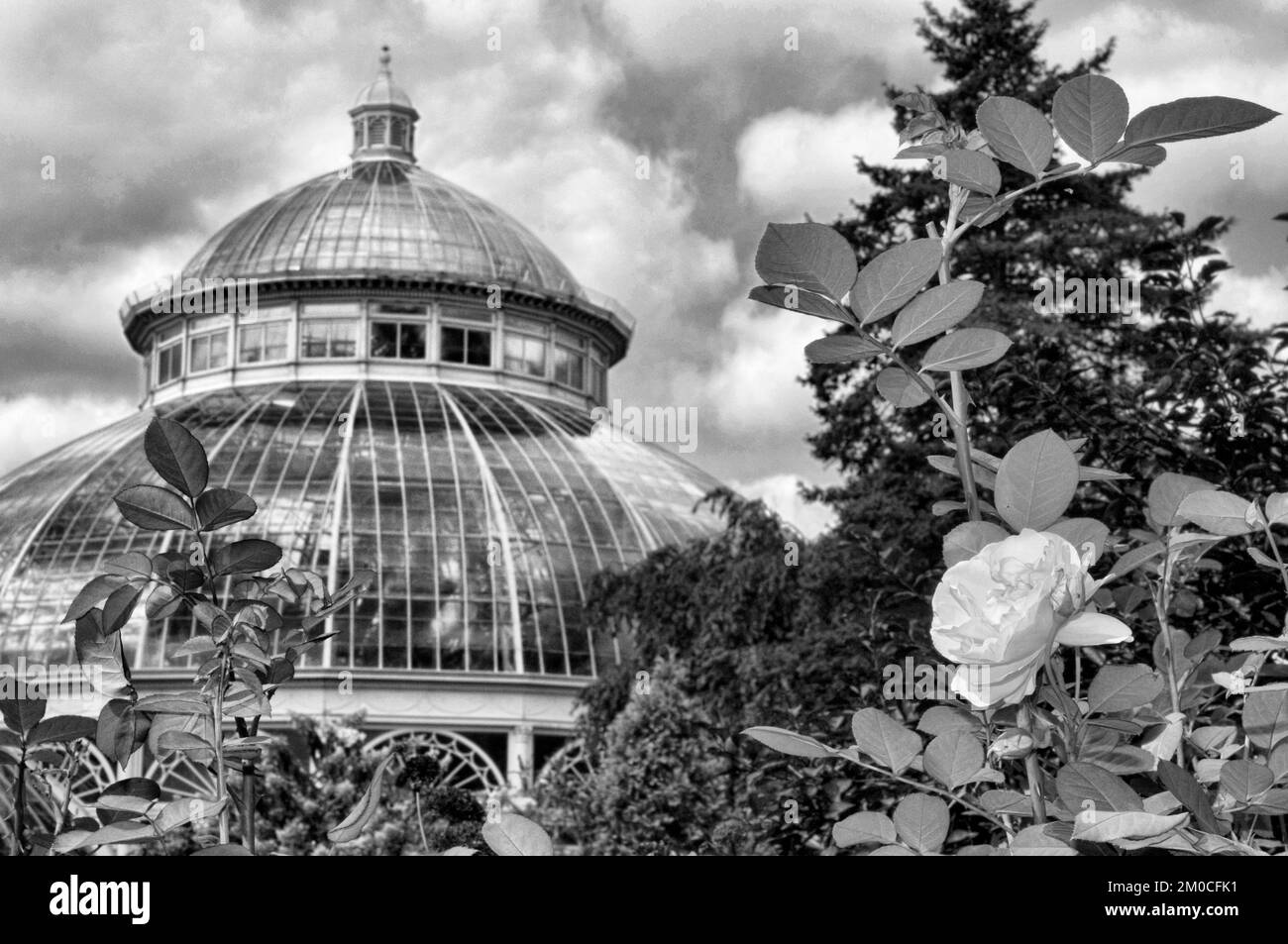 Giardino botanico di New York. Bronx River Parkway e Boulevard. New York Stati Uniti Foto Stock