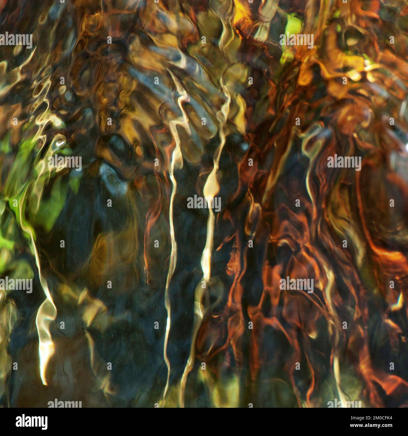 Fotografia astratta a colori, che mostra il movimento di acque Sher Brook affollate in un ambiente boschivo chiaro, l'immagine è un astratto colore Foto Stock