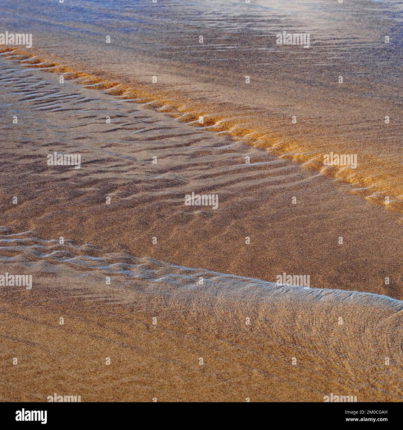 Abstract dettagliati schemi di marea in sabbia a bassa marea in Penbryn Beach in South West Wales UK Foto Stock
