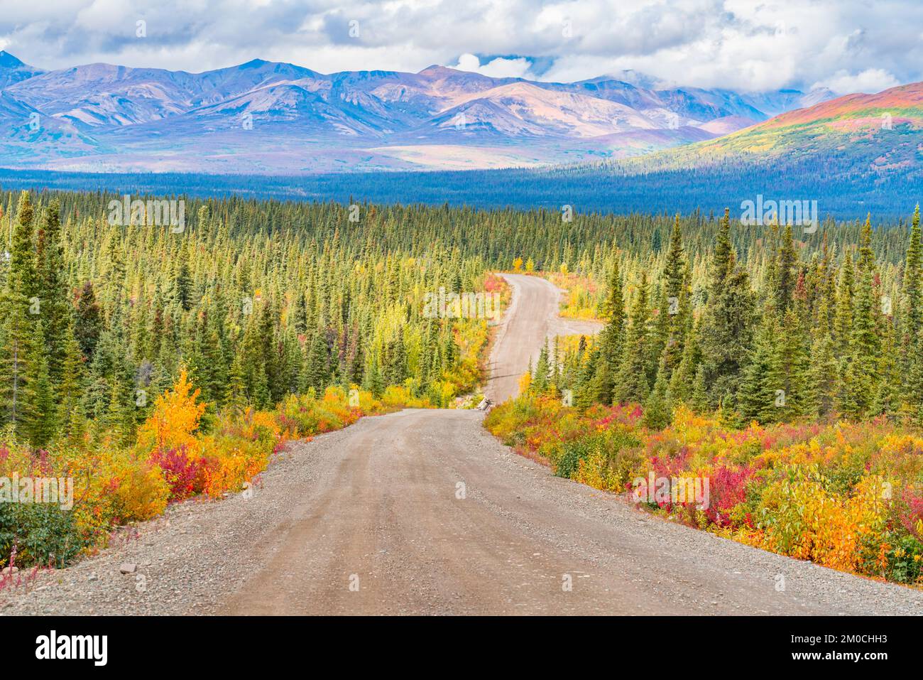 Vista lunga della Denali Highway in Alaska con le montagne sullo sfondo Foto Stock