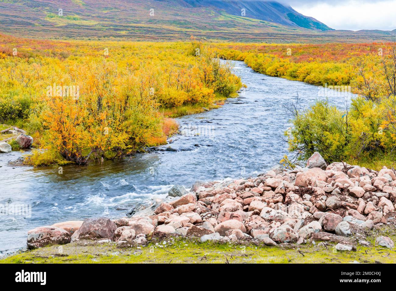Insenatura autunnale attraverso la tundra lungo Denali Highway in Alaska Foto Stock