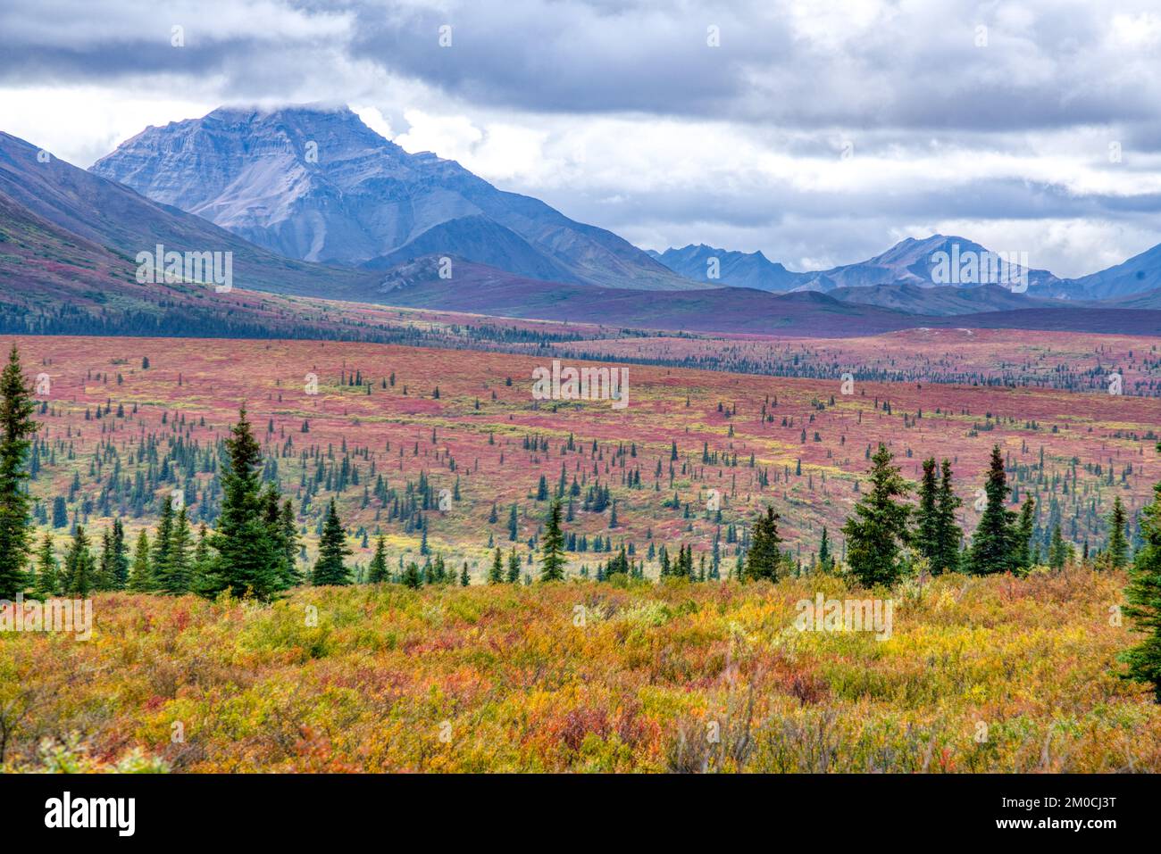 Tundra e montagne nella valle del fiume Savage nel Parco Nazionale di Denali, Alaska Foto Stock