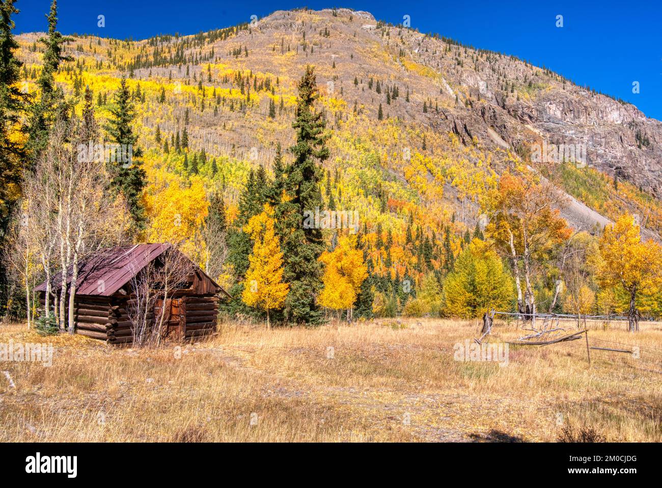 Vecchia cabina abbandonata in Campidoglio, Colorado lungo la Alpine Loop Trail in San Juan Mountains Foto Stock