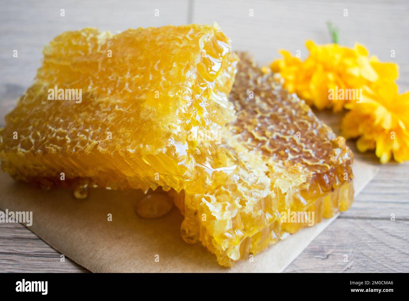 Concetto di prodotti a nido d'ape freschi, a nido d'ape e d'ape, ingredienti naturali biologici sul tavolo. Foto Stock