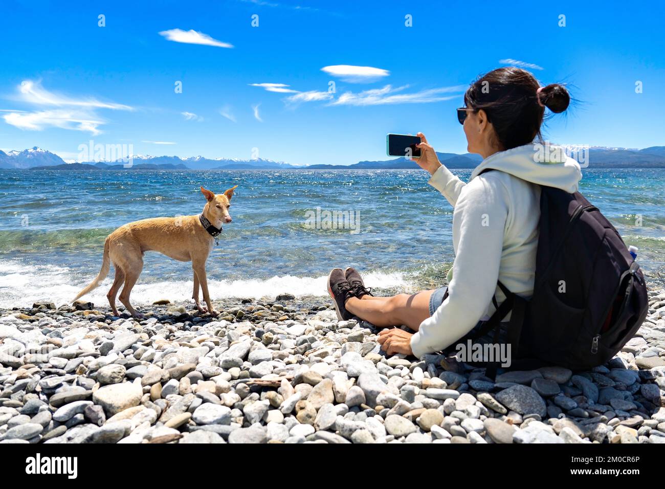 la donna scatta una foto del suo cane nel lago, dopo aver giocato in acqua. Foto Stock