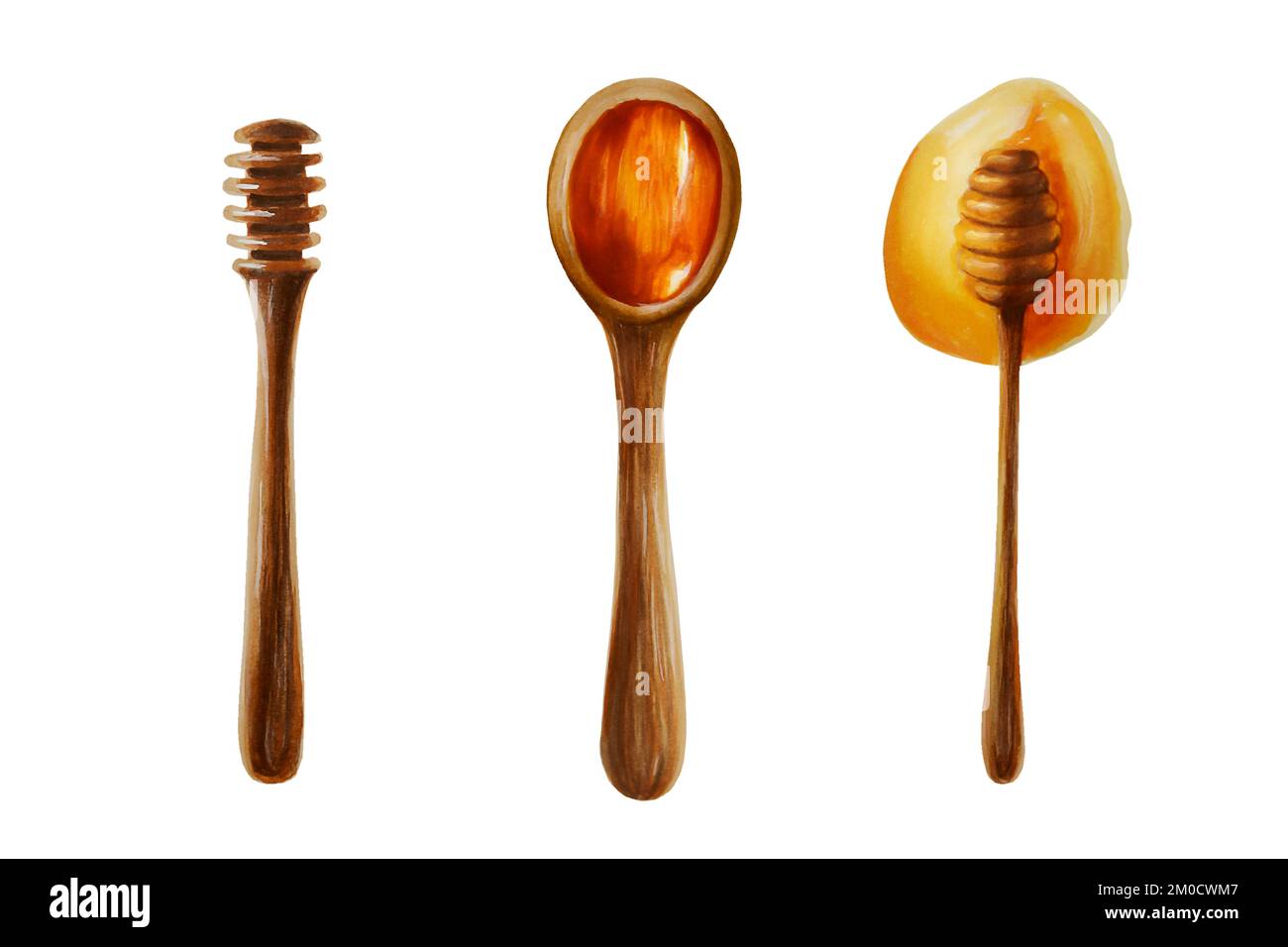 Acquerello insieme di miele su bastone e gocce, sgocciolando miele, miele in un cucchiaio di legno. Mano disegnata immunità rafforzare le vitamine illustrazione Foto Stock