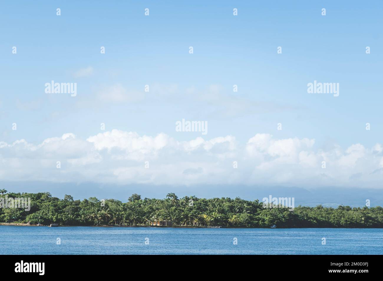 Vista di una giungla con una casa tropicale in lontananza. Isola dei Caraibi con flora tropicale Foto Stock