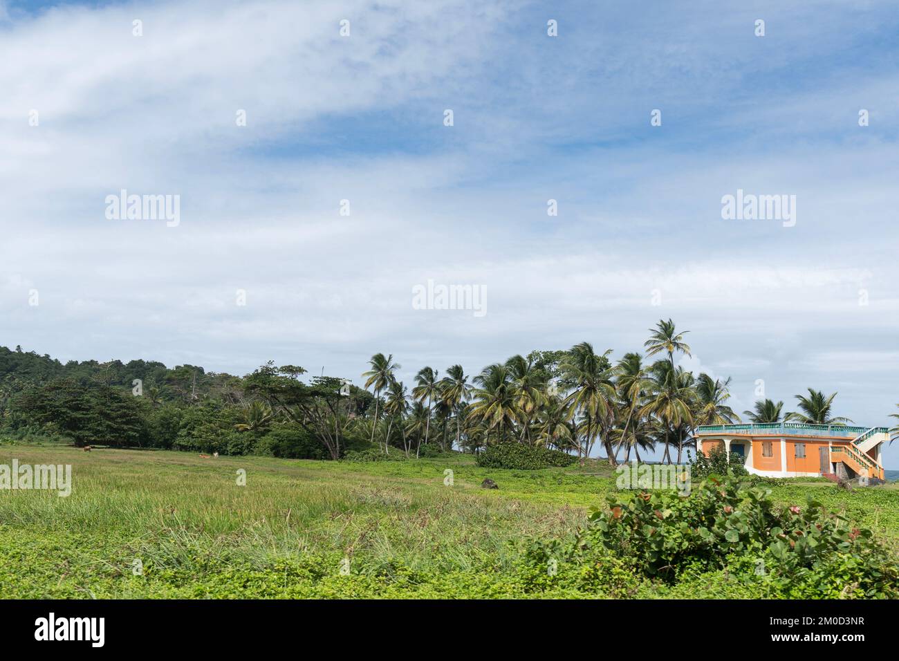 Vista della terra con erba e palme con un edificio su un'isola di Dominica, Caraibi. Foto Stock