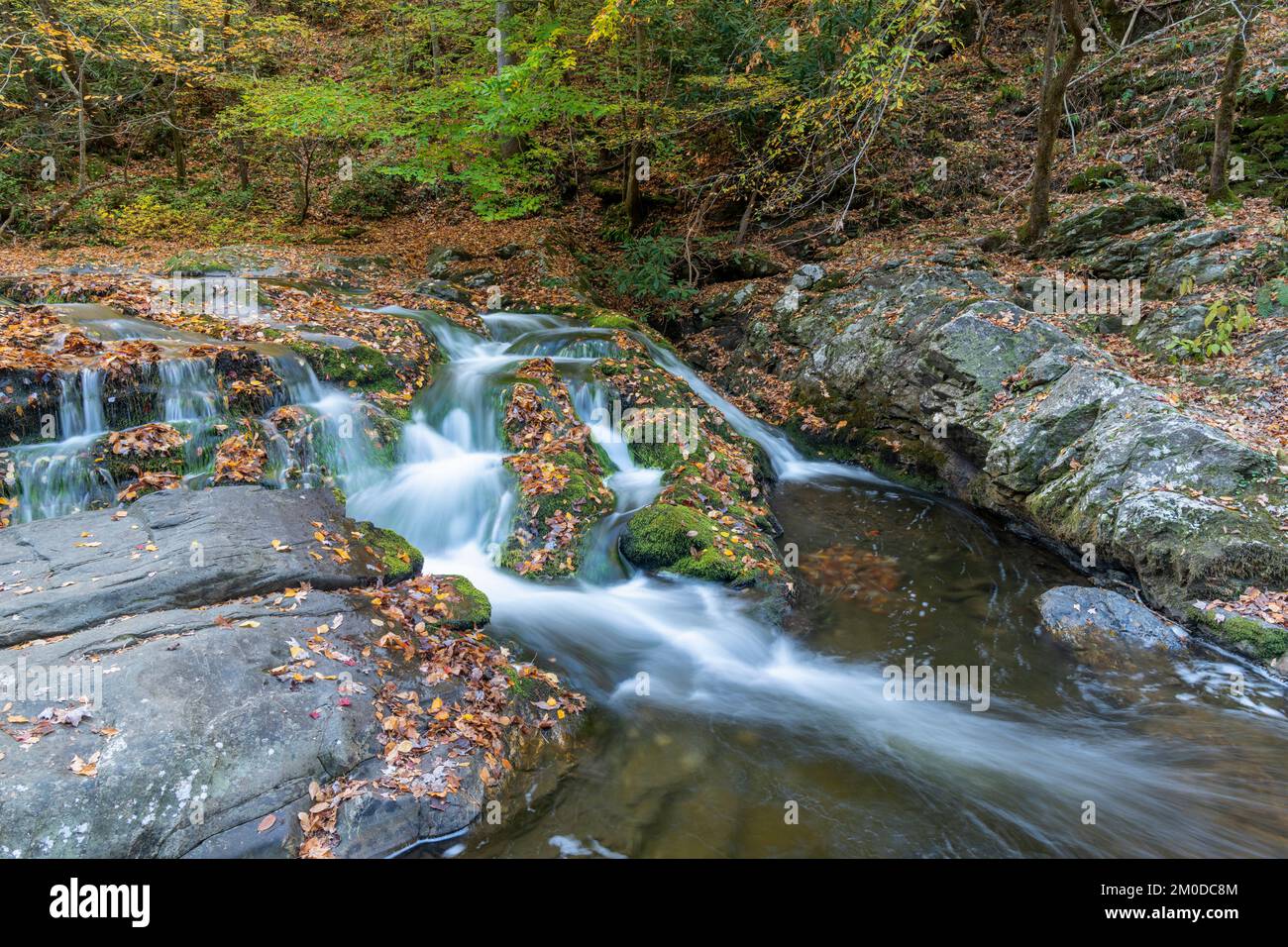 Cascata, colori autunnali, Laurel Creek. Great Smoky Mountains National Park, TN, USA, fine ottobre, di Dominique Braud/Dembinsky Photo Assoc Foto Stock