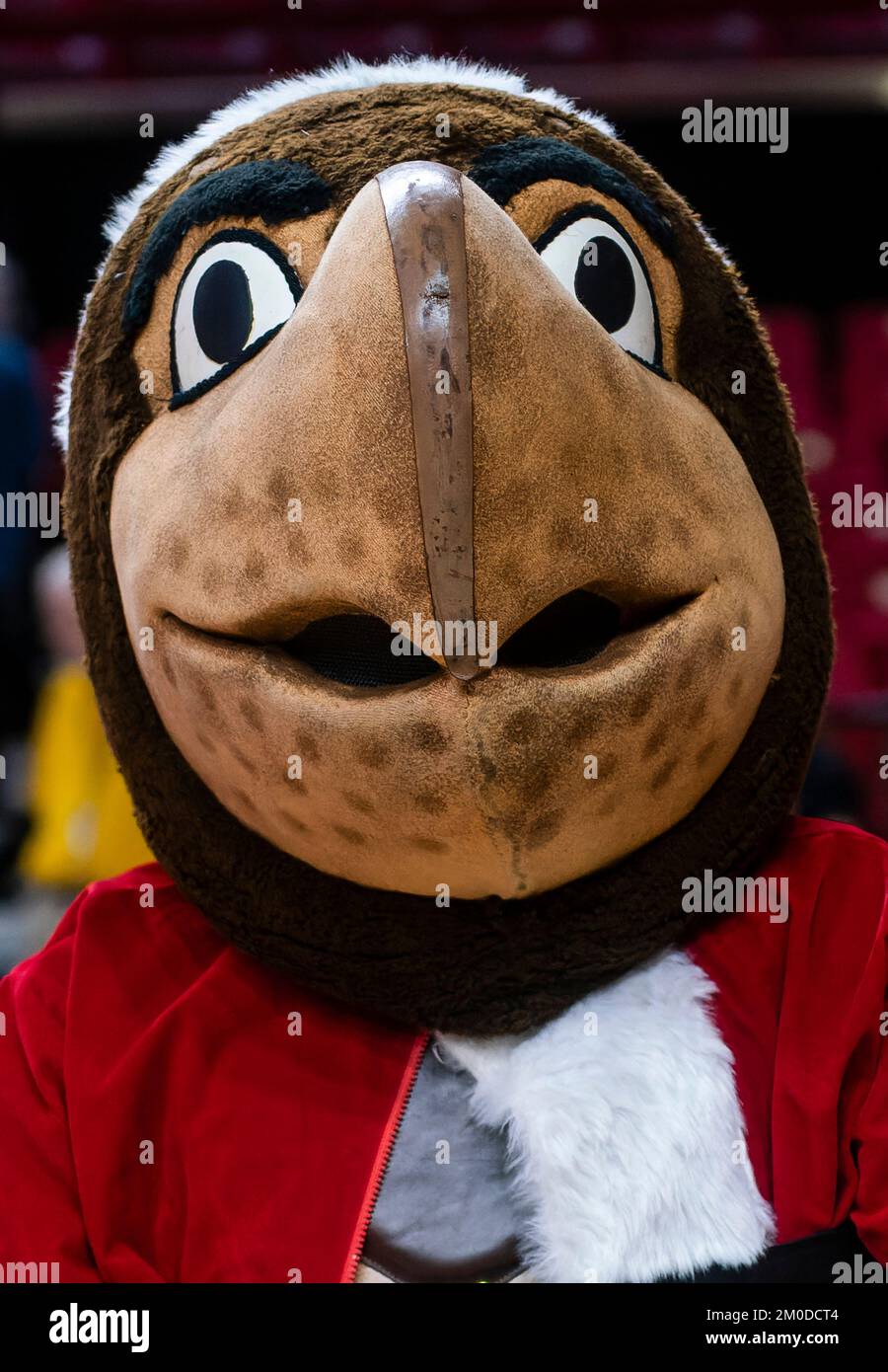 Mascotte del college ad una partita di basket Foto Stock