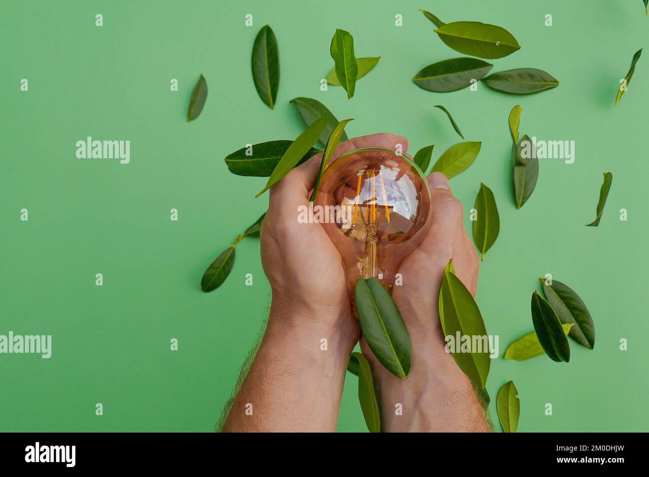 Elettricità e energia verde Concept.Light lampadina in una mano maschio e foglie verdi su uno sfondo verde. Energia rinnovabile. Green Energy Foto Stock