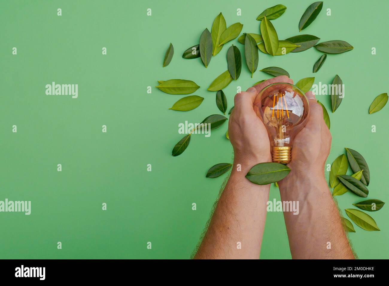 Energia rinnovabile.Elettricità e energia verde Concept.Light bulbo in una mano maschio e foglie verdi su un fondo verde.energia naturale alternativa Foto Stock