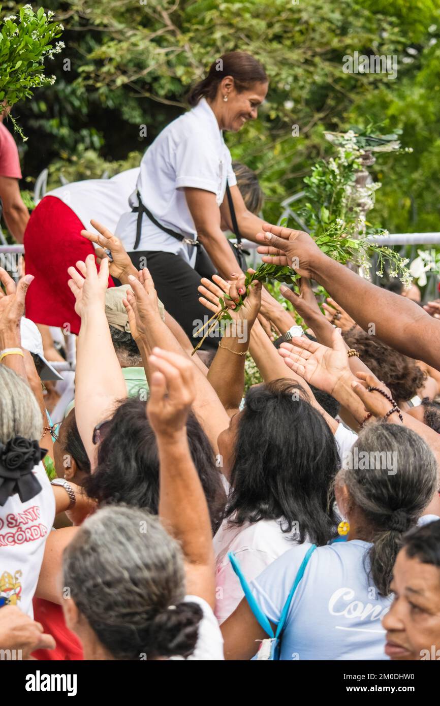 Salvador, Bahia, Brasile - 26 maggio 2016: Gli adoratori cattolici cercano di raccogliere bouquet di fiori durante la celebrazione del Corpus Cristo nella città di SAL Foto Stock