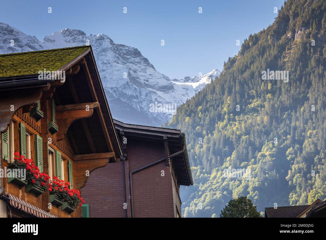 Fiori in chalet rustico in primavera con le montagne, Interlaken, Svizzera Foto Stock