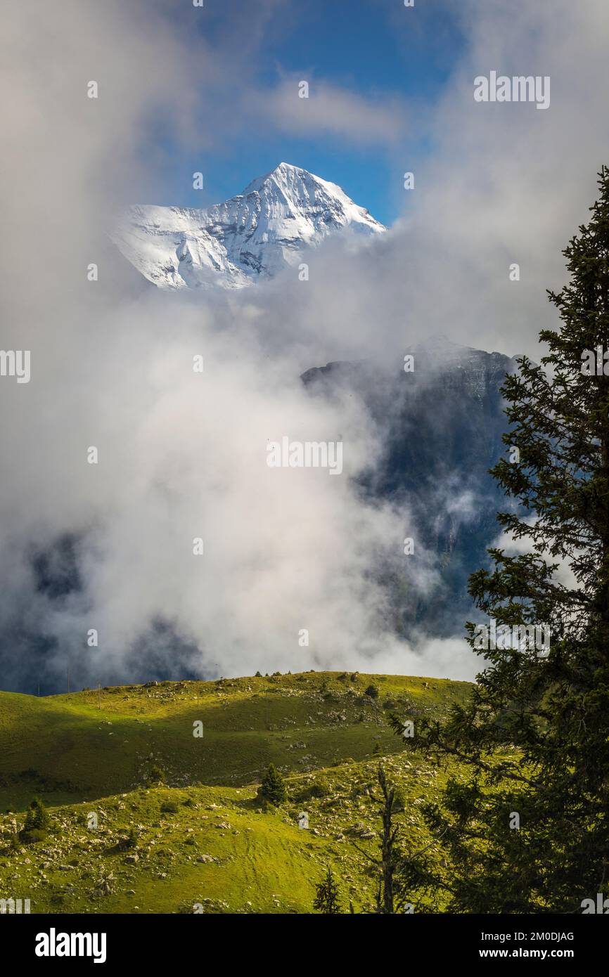 Monte Misty sopra Grindelwald, Alpi Svizzere bernesi innevate, Svizzera Foto Stock